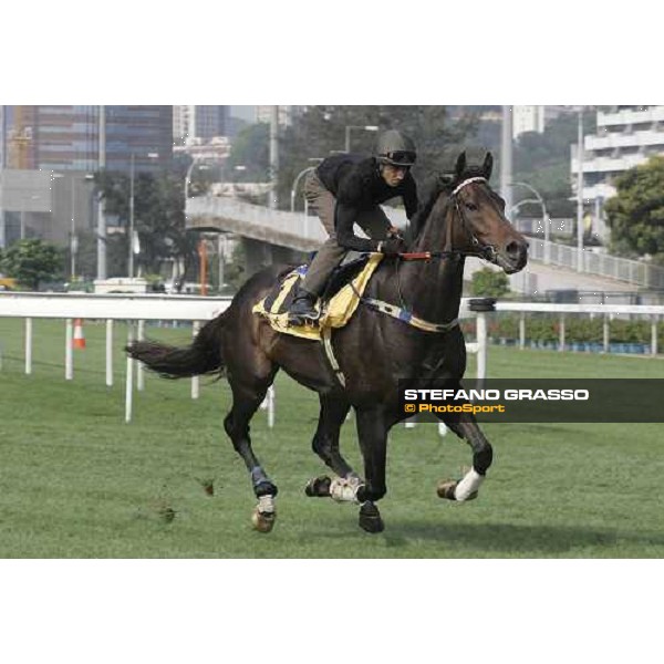Grand Armee Sha Tin morning track works 19th april 2005 ph. The Hong Kong Jockey club