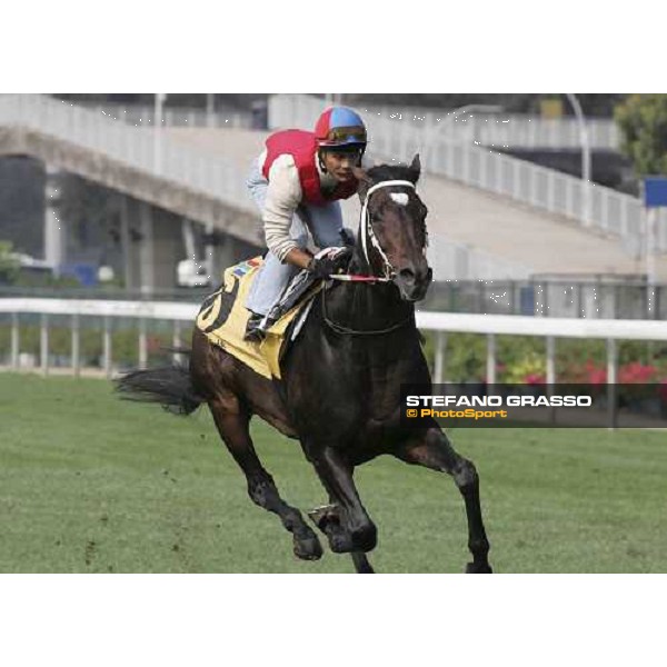 Greys Inn Sha Tin morning track works 19th april 2005 ph. The Hong Kong Jockey club