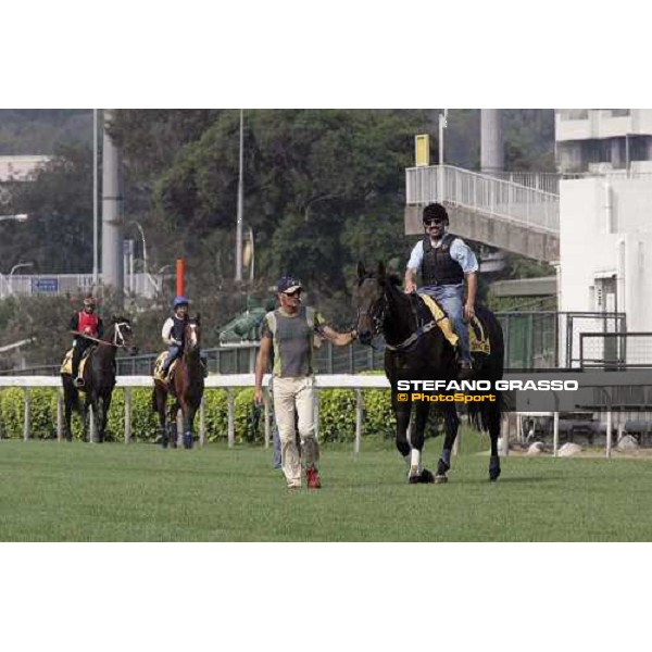 from right, Grand Armee, Phoenix Reach and Greys Inn preparing for morning works at Sha Tin Race Track Hong Kong 20th april 2005 ph. Hong Kong Jockey club