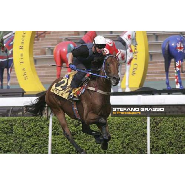 Elvstroem cantering at Sha Tin race track Hong Kong, 20th april 2005 ph. Hong Kong Jockey club