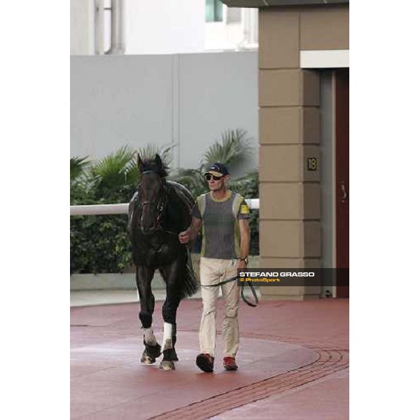 Greys Inn schholing at parade ring Hong Kong, Sha Tin racetrack 20th april 2005 ph. Hong Kong Jockey club