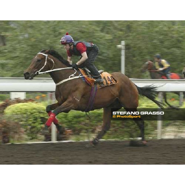 Silent Witness Sha Tin morning works Hong Kong, 21st april 2005 ph. Jean Charles Briens