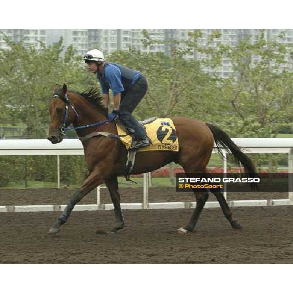 Elvstroem Sha Tin morning works Hong Kong, 21st april 2005 ph. Jean Charles Briens