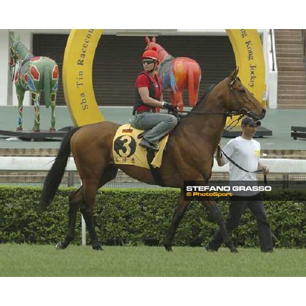 Epalo Sha Tin morning works Hong Kong, 21st april 2005 ph. Jean Charles Briens