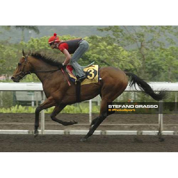 Epalo Sha Tin morning works Hong Kong, 21st april 2005 ph. Jean Charles Briens