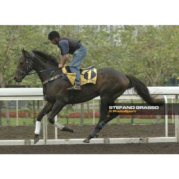 Grand Arme Sha Tin morning works Hong Kong, 21st april 2005 ph. Jean Charles Briens