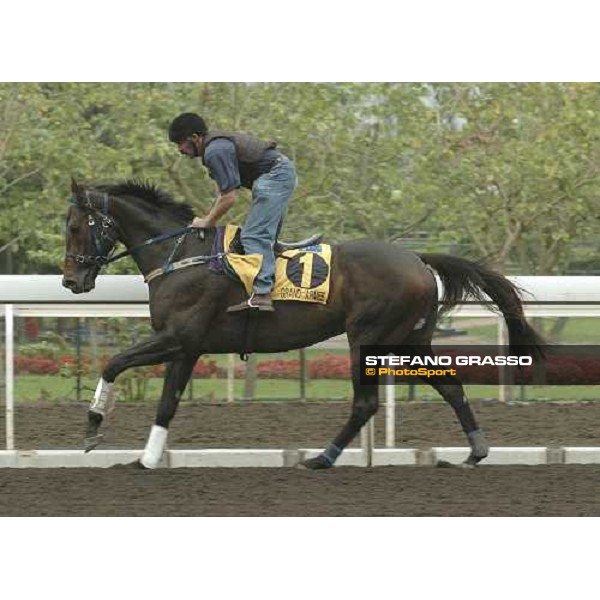 Grand Arme Sha Tin morning works Hong Kong, 21st april 2005 ph. Jean Charles Briens