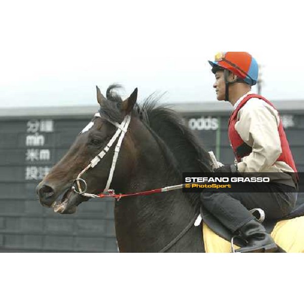 Greys Inn Sha Tin morning works Hong Kong, 21st april 2005 ph. Jean Charles Briens