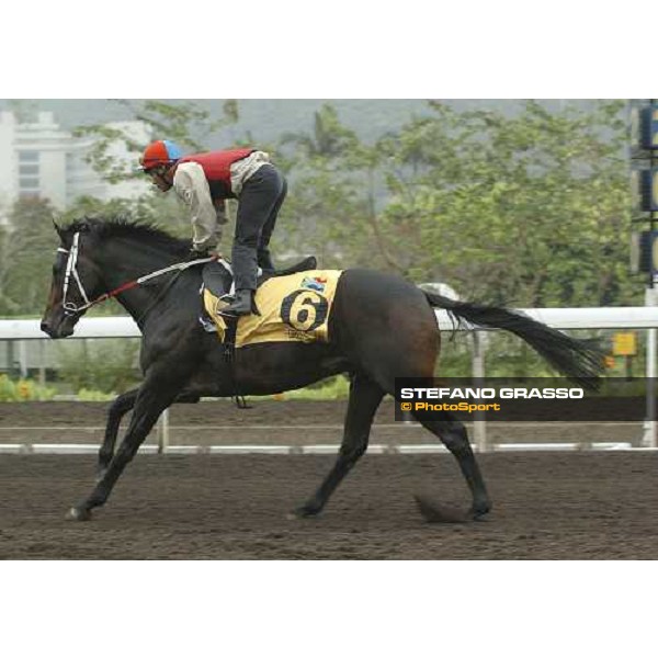 Greys Inn Sha Tin morning works Hong Kong, 21st april 2005 ph. Jean Charles Briens
