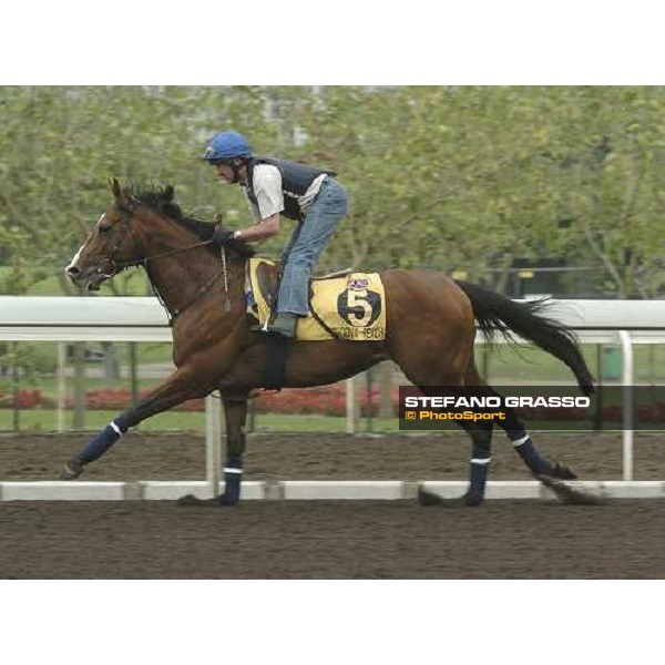 Phoenix Reach Sha Tin morning works Hong Kong, 21st april 2005 ph. Jean Charles Briens