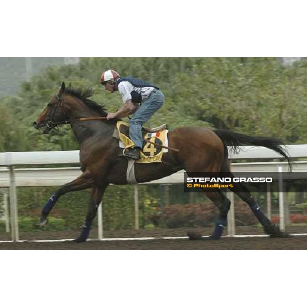 Touch of Land Sha Tin morning works Hong Kong, 21st april 2005 ph. Jean Charles Briens