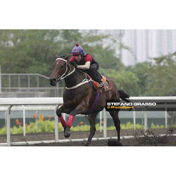 Silent Witness and Felix Coetzee during morning works at Sha Tin race track Hong Kong 21st april 2005 ph. The Hong Kong Jockey club