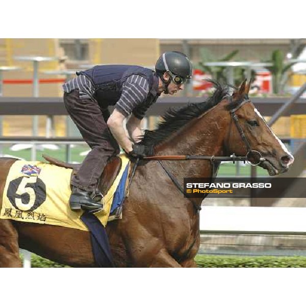 HONG-KONG. Sha Tin, 22th April 2005. \'PHOENIX REACH\' ph. Jean Charles Briens