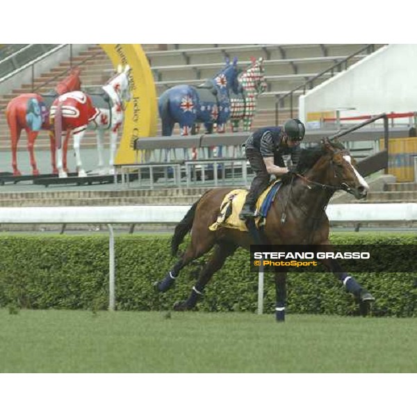 HONG-KONG. Sha Tin, 22th April 2005. \'PHOENIX REACH\' ph. Jean Charles Briens