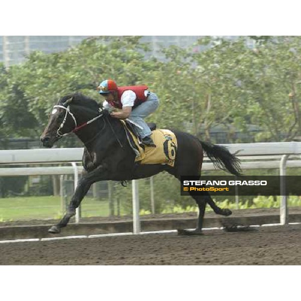 HONG-KONG. Sha Tin, 22th April 2005. GREYS INN (Weichong Marwing) ph. Jean Charles Briens 