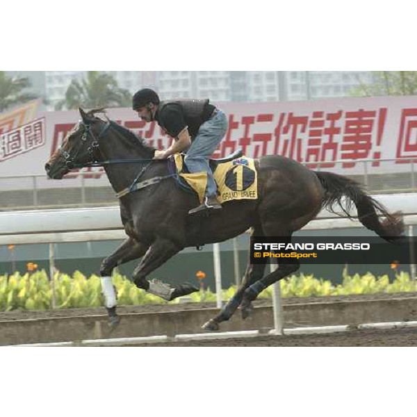 HONG-KONG. Sha Tin, 22th April 2005. \'GRAND ARMEE\' ph. Jean Charles Briens