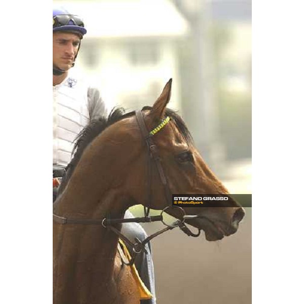 HONG-KONG. Sha Tin, 22th April 2005. \'EPALO\' (A. Starke) ph. Jean Charles Briens