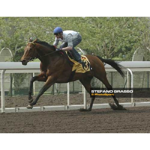 HONG-KONG. Sha Tin, 22th April 2005. \'EPALO\' (A. Starke) ph. Jean Charles Briens
