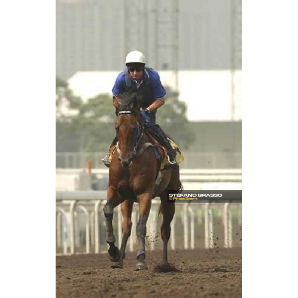 HONG-KONG. Sha Tin, 22th April 2005. \'ELVSTROEM\' ph. Jean Charles Briens