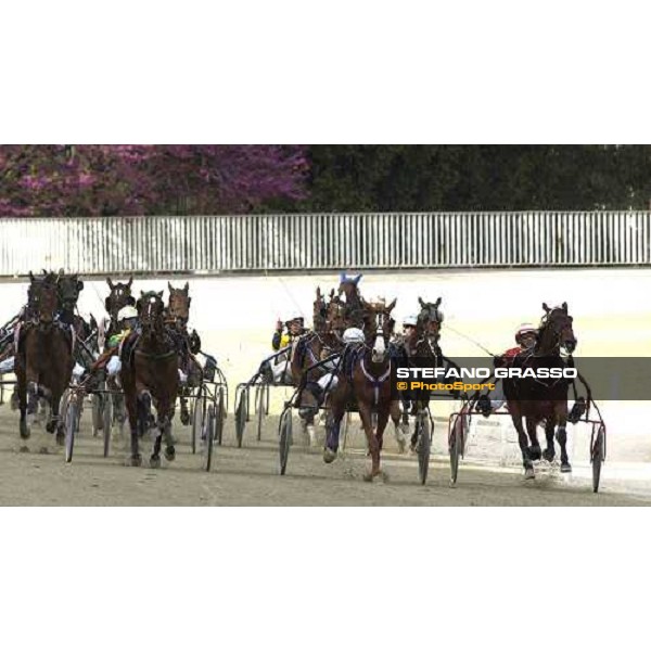 straight of Gran Premio D\' Europa Filly - Entella As - Everglade As and Ellymay Milano, San Siro racetrack 25th april 2005 ph. Stefano Grasso