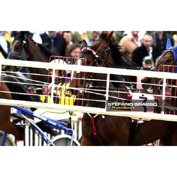 close up for Ellymay during the start of Gran Premio D\' Europa Filly Milano, San Siro racetrack 25th april 2005 ph. Stefano Grasso
