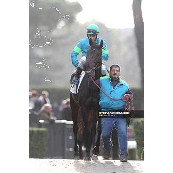Andrea Atzeni on Dogma Noir enters the track before winning the Premio Unire Rome - Capannelle racecourse,23rd dec.2012 ph.Stefano Grasso