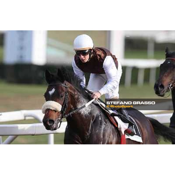 Premio Unire - Racing - Cristian Demuro on Bacchelli leads the group Rome - Capannelle racecourse,23rd dec.2012 ph.Stefano Grasso