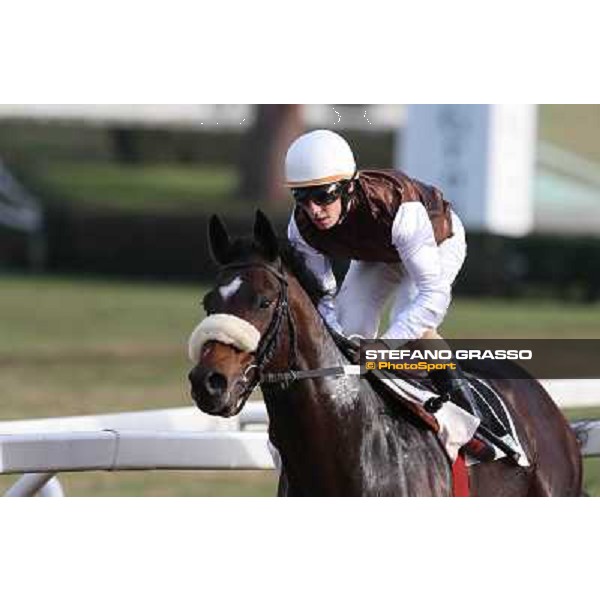 Rome - Capannelle racecourse,23rd dec.2012 ph.Stefano Grasso
