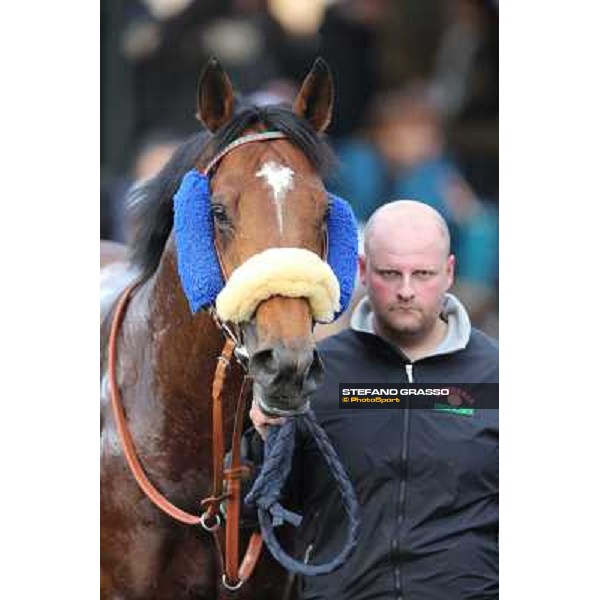 Figli Fanesi Rome - Capannelle racecourse,23rd dec.2012 ph.Stefano Grasso