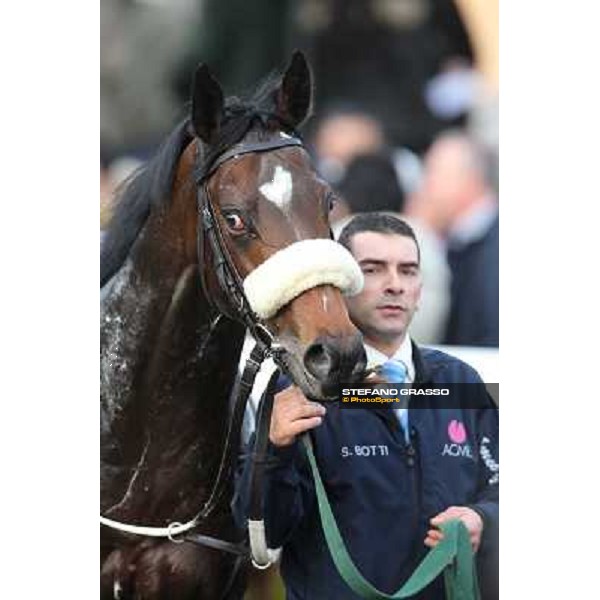 Bacchelli Rome - Capannelle racecourse,23rd dec.2012 ph.Stefano Grasso