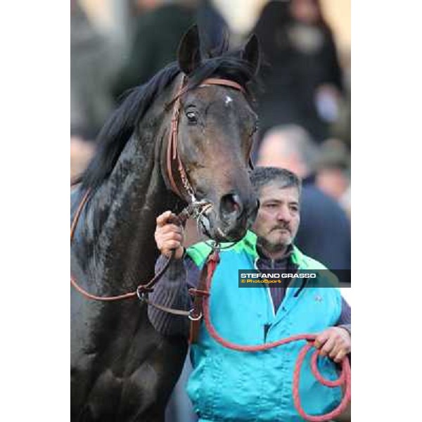 Premio Unire - Dogma Noir Rome - Capannelle racecourse,23rd dec.2012 ph.Stefano Grasso