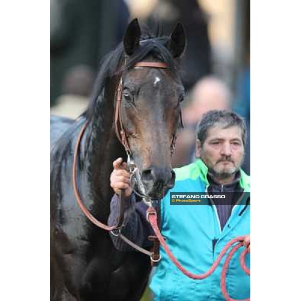 Premio Unire - Dogma Noir Rome - Capannelle racecourse,23rd dec.2012 ph.Stefano Grasso