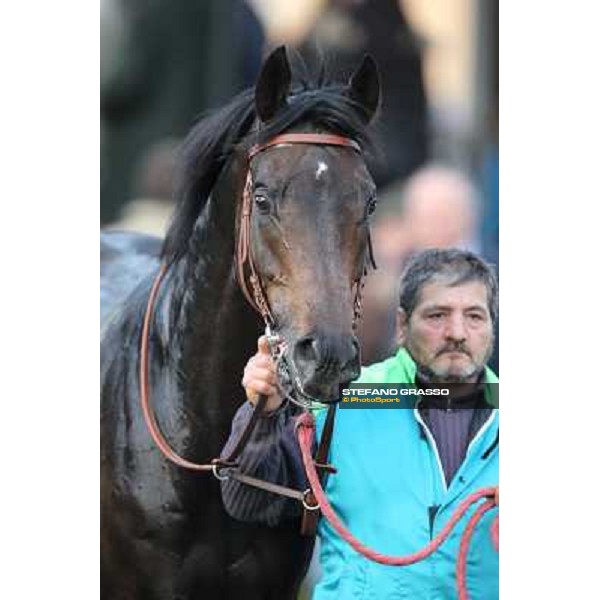 Premio Unire - Dogma Noir Rome - Capannelle racecourse,23rd dec.2012 ph.Stefano Grasso