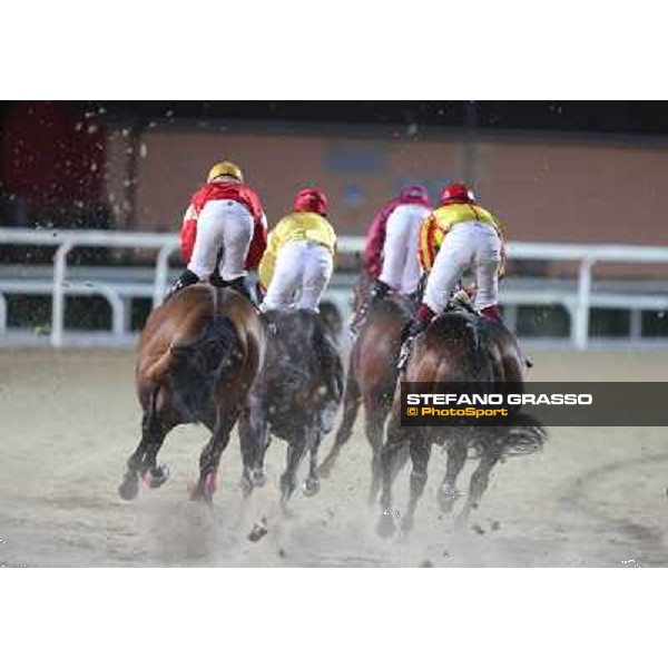 Rome - Capannelle racecourse,23rd dec.2012 ph.Stefano Grasso