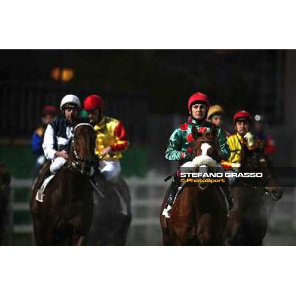 Rome - Capannelle racecourse,23rd dec.2012 ph.Stefano Grasso