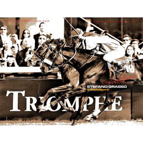 PHOTO STEFANO GRASSO