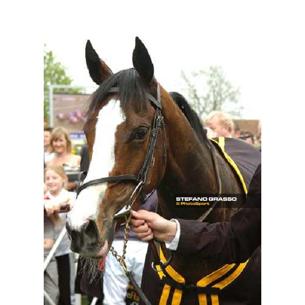 NEWMARKET, 1er Mai 2005. The 1000 Guinées Stakes. \'VIRGINIA WATERS\' Propriétaires: Mrs John Magnier \' Mr Mickael Tabor Entraineur: Aidan O\'Brien Jockey: Kieren Fallon