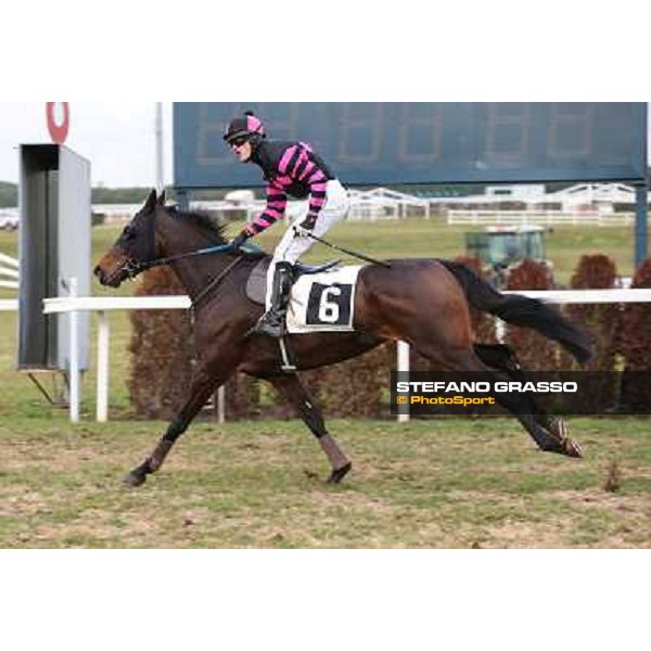 Josef Bartos and Taxe Comprise win the 35° Steeple Chase dell Capannelle Rome, Capannelle racecourse, 12th january 2013 ph.Stefano Grasso