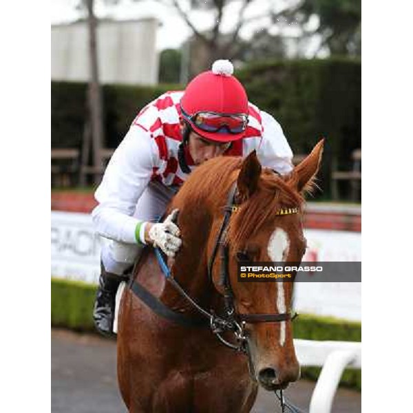 Raffaele Romano kisses Serica after winning the Premio Criterium D\'Inverno Rome, Capannelle racecourse, 12th january 2013 ph.Stefano Grasso