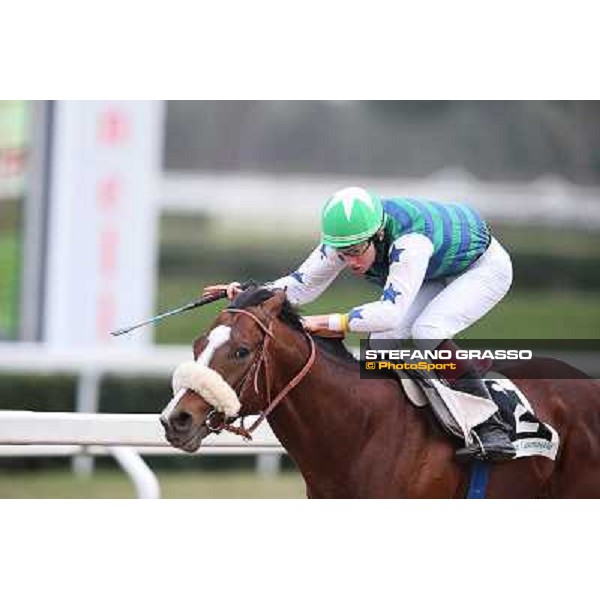 Davide Satalia on Holy Balet goes to win the Premio Riccardo Agriformi Rome, Capannelle racecourse, 12th january 2013 ph.Stefano Grasso