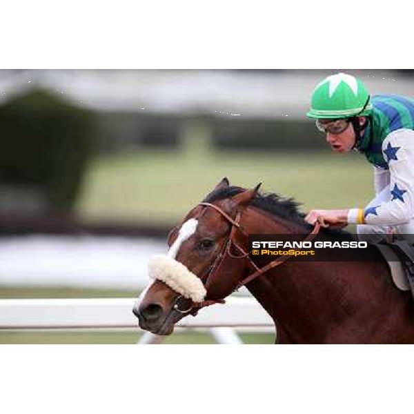 Davide Satalia on Holy Balet goes to win the Premio Riccardo Agriformi Rome, Capannelle racecourse, 12th january 2013 ph.Stefano Grasso