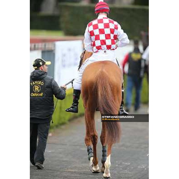 Raffaele Romano and Serica winners of the Premio Criterium D\'Inverno Rome, Capannelle racecourse, 12th january 2013 ph.Stefano Grasso