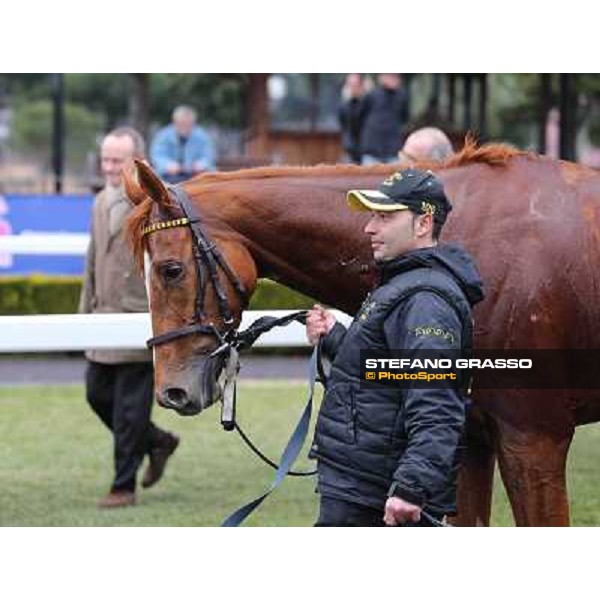 Serica winner of the Premio Criterium D\'Inverno Rome, Capannelle racecourse, 12th january 2013 ph.Stefano Grasso