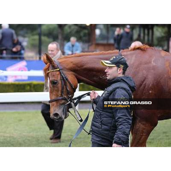 Serica winner of the Premio Criterium D\'Inverno Rome, Capannelle racecourse, 12th january 2013 ph.Stefano Grasso