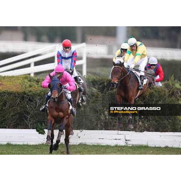 Josef Bartos and Taxe Comprise win the 35° Steeple Chase dell Capannelle Rome, Capannelle racecourse, 12th january 2013 ph.Stefano Grasso