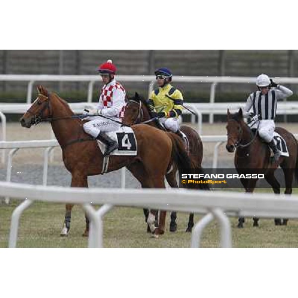 Raffaele Romano and Serica after winning the Premio Criterium D\'Inverno Rome, Capannelle racecourse, 12th january 2013 ph.Stefano Grasso