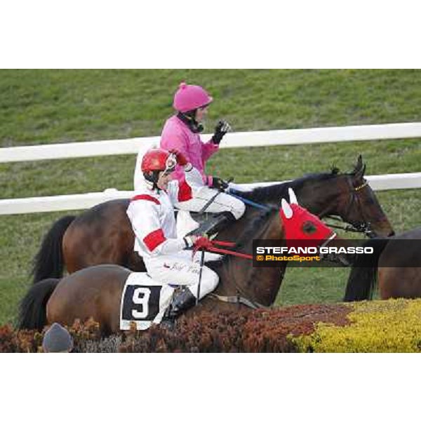 Josef Vana jr. and Torres Run win the Premio Vera Spezia 35° Steeple Chase delle Capannelle Rome, Capannelle racecourse, 12th january 2013 ph.Stefano Grasso
