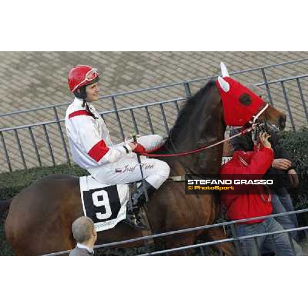 Josef Vana jr. and Torres Run win the Premio Vera Spezia 35° Steeple Chase delle Capannelle Rome, Capannelle racecourse, 12th january 2013 ph.Stefano Grasso