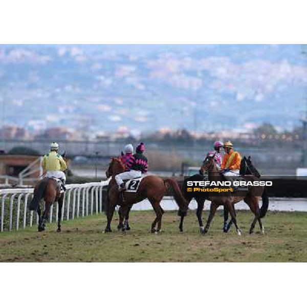 Josef Bartos and Cross Fade win the 65° Gran Corsa di Siepi di Roma Rome, Capannelle racecourse, 19th january 2013 ph.Stefano Grasso