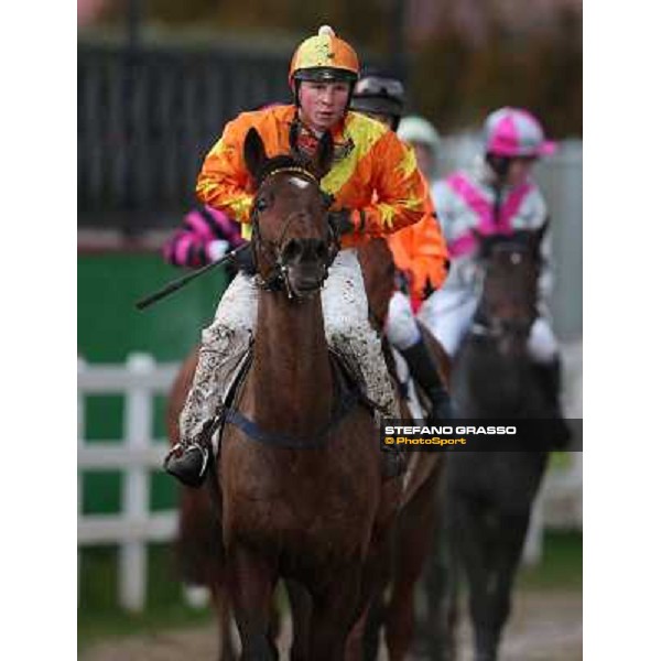 Kamikaze de Teille - the 65° Gran Corsa di Siepi di Roma Rome, Capannelle racecourse, 19th january 2013 ph.Stefano Grasso